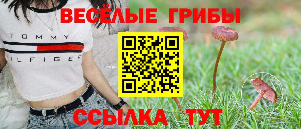 Псилоцибиновые грибы прущие грибы Мирный